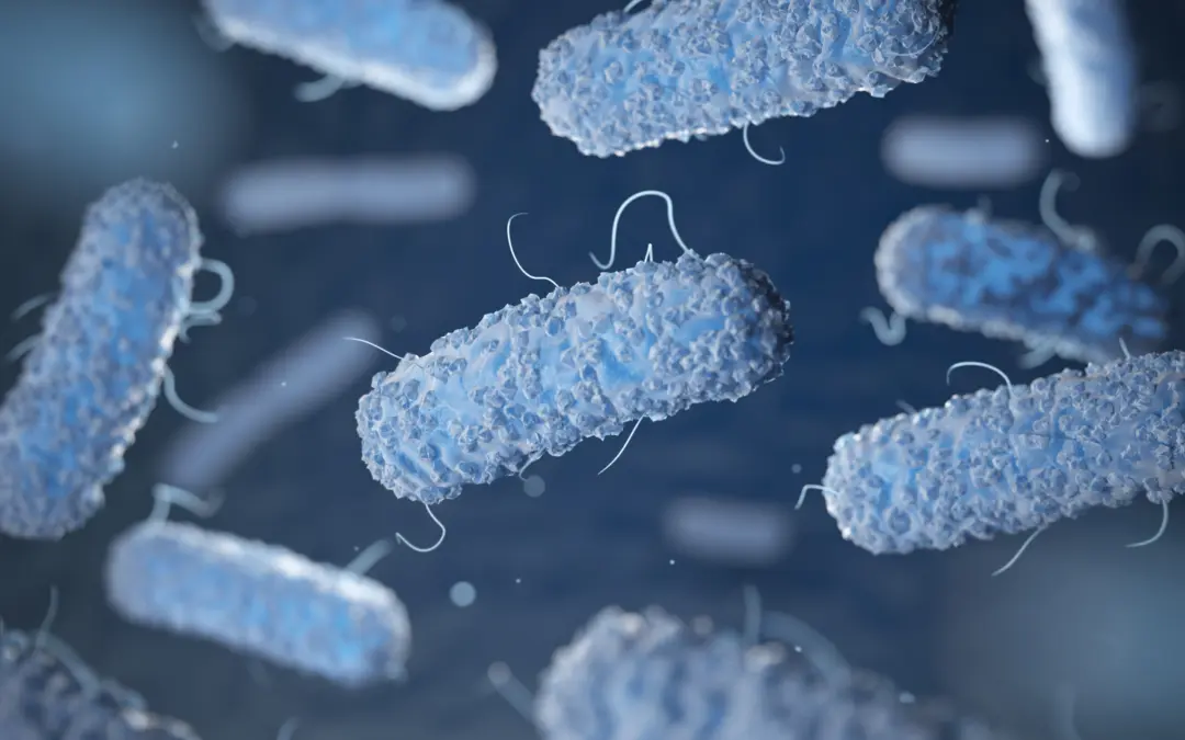 Prevenção e Controlo da Bactéria Legionella em Sistemas de Água – Lei n.° 52/2018