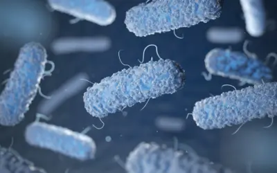 Prevenção e Controlo da Bactéria Legionella em Sistemas de Água – Lei n.° 52/2018